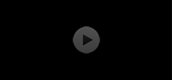 sample video